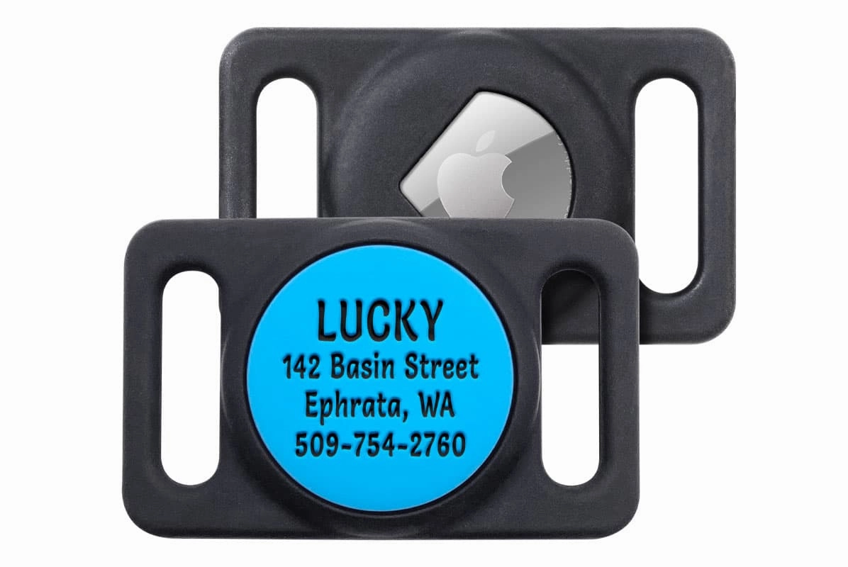 AirTag Dog Collar Holder, Personalized