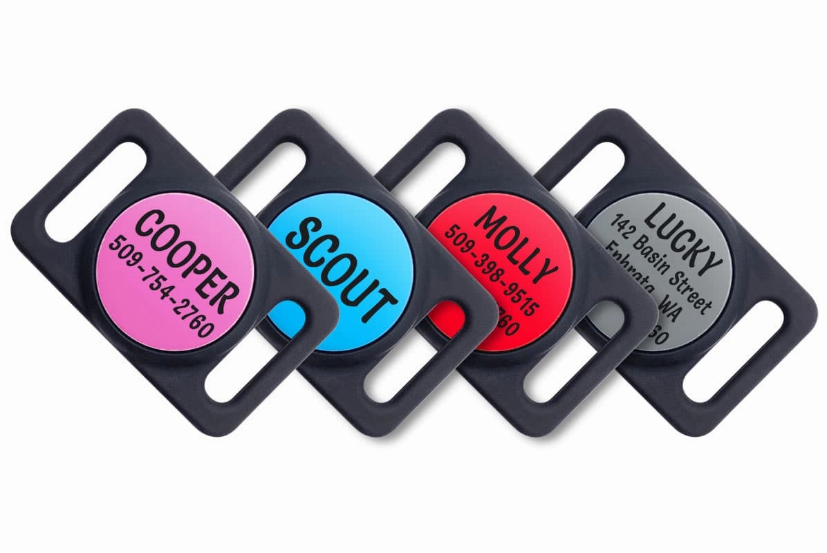 AirTag Dog Collar Holder, Personalized