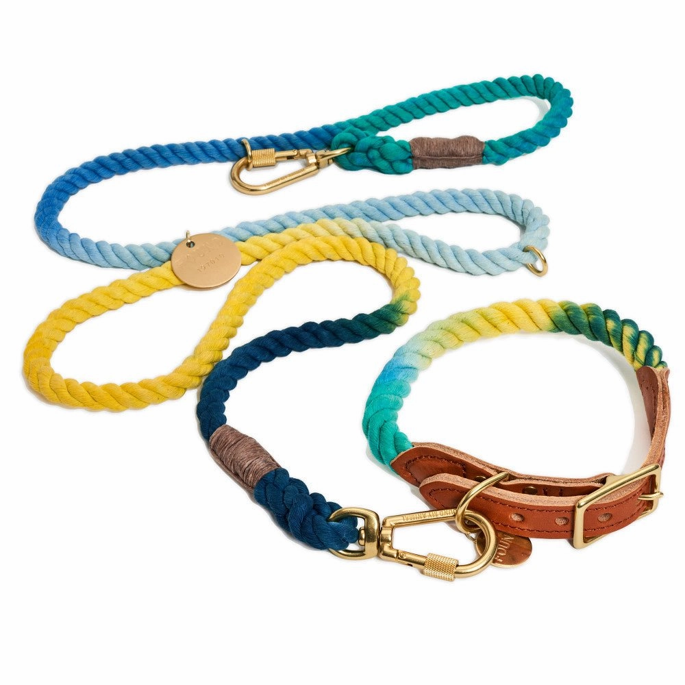 Azure Cotton Rope Dog Leash by Found My Animal, Adjustable