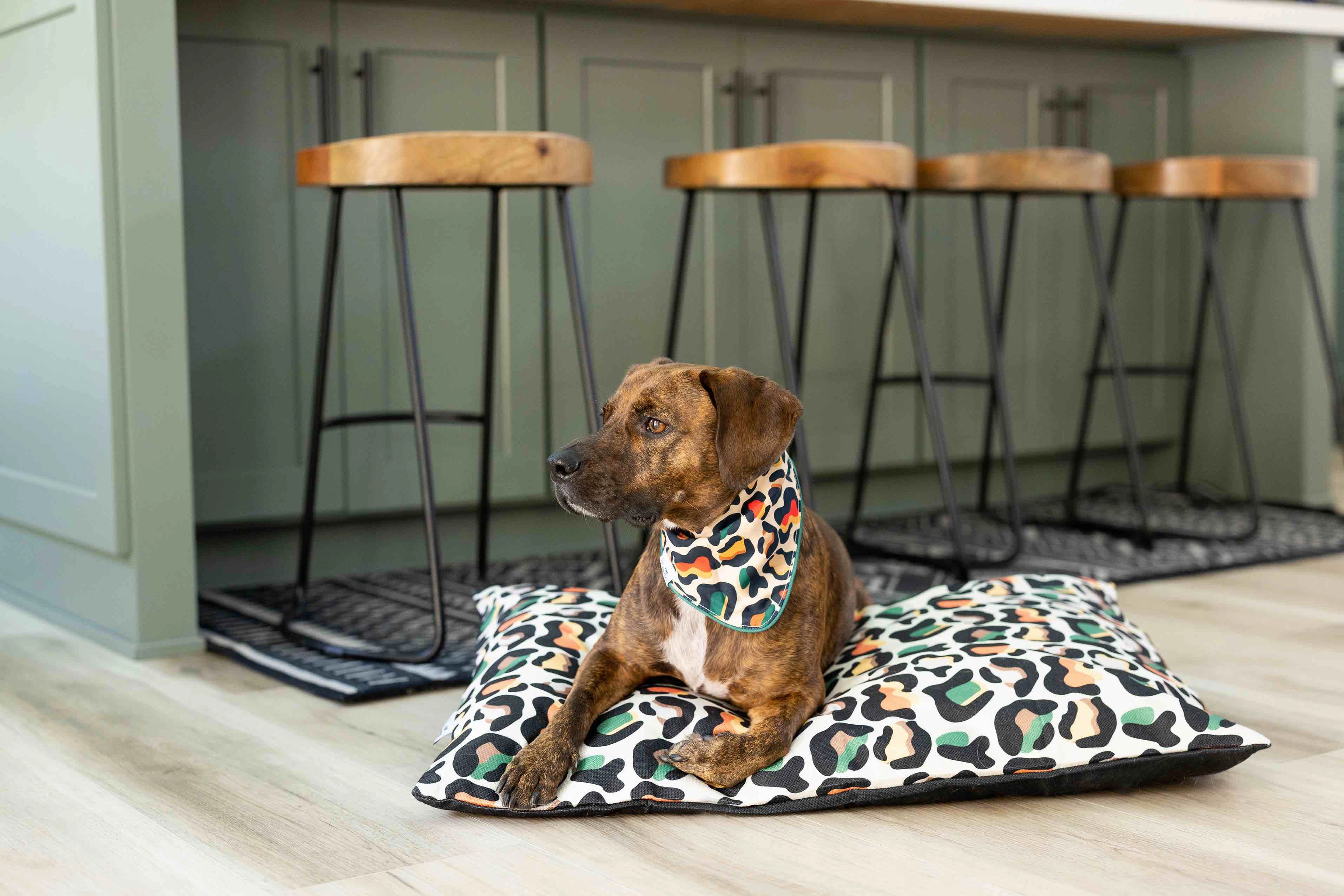 Beckett Dog Bandana