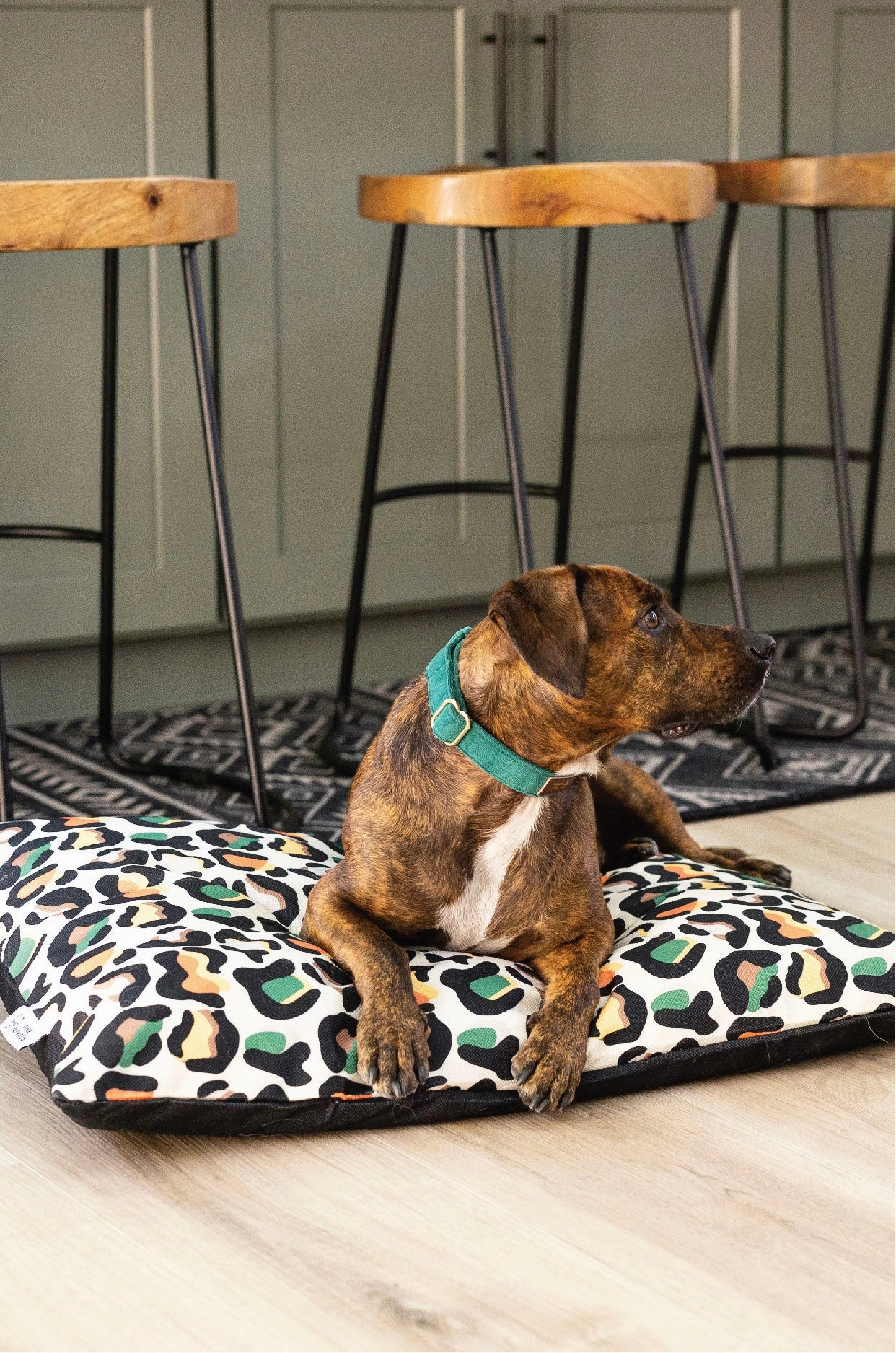 Beckett Dog Bed