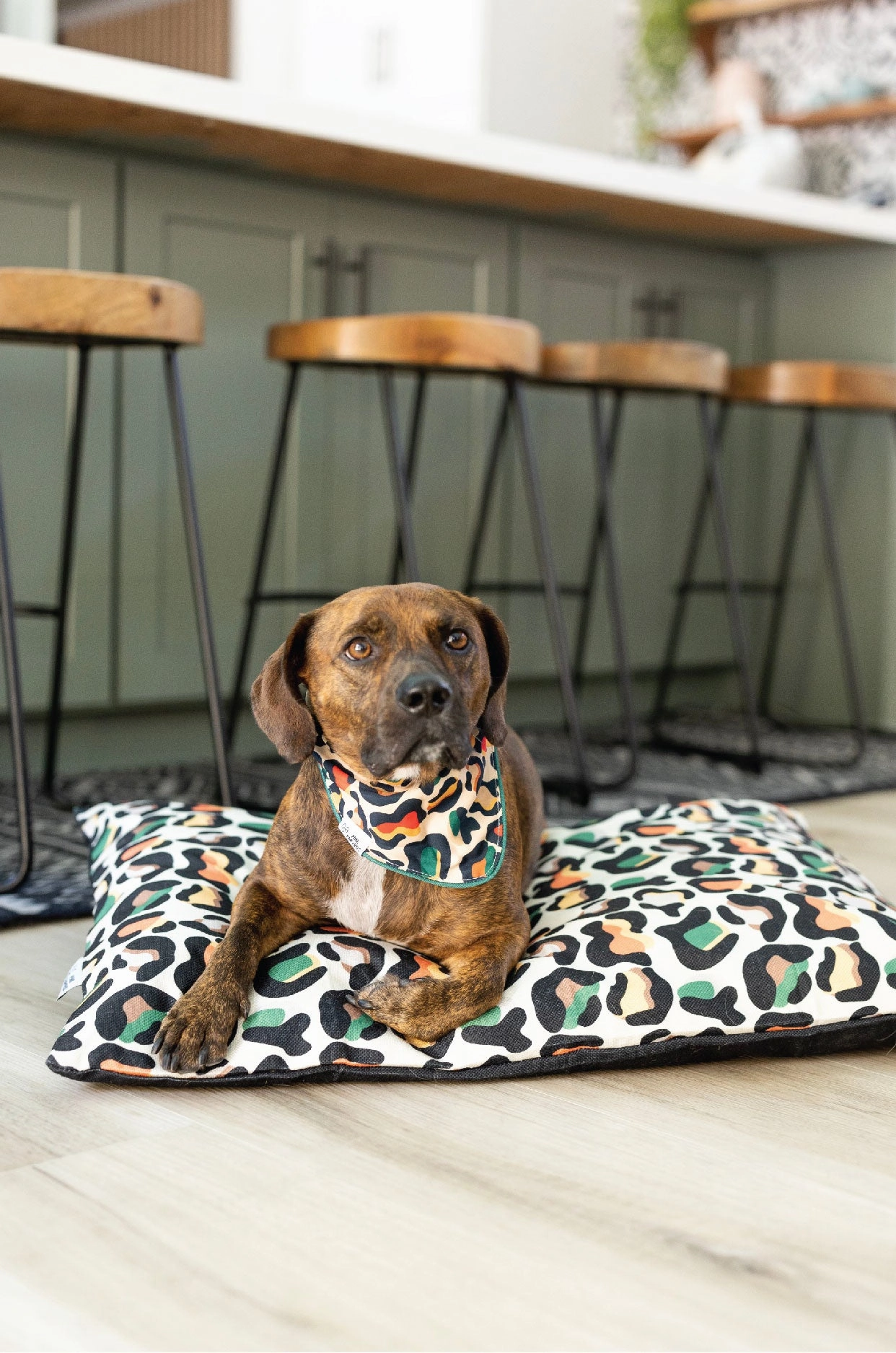 Beckett Dog Bed