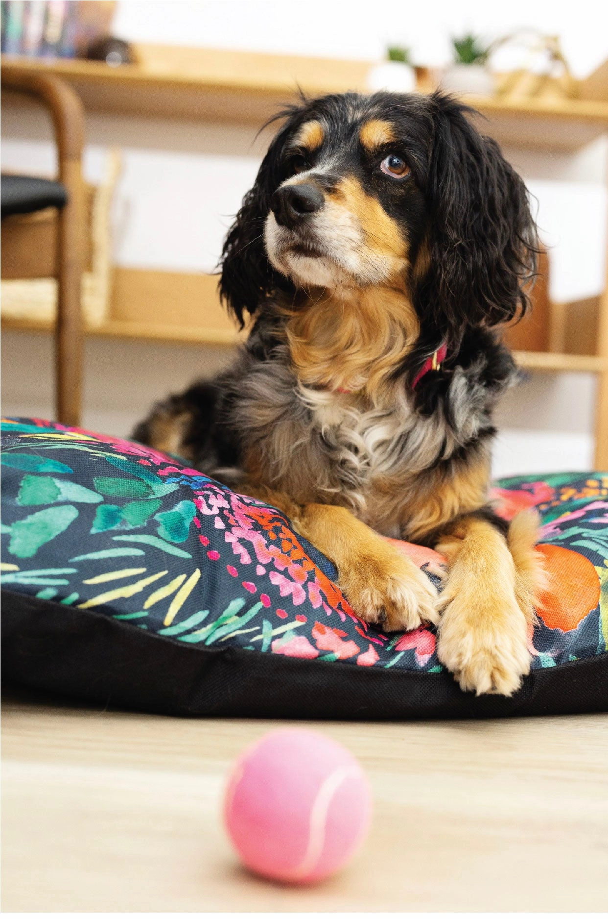 Bella Dog Bed