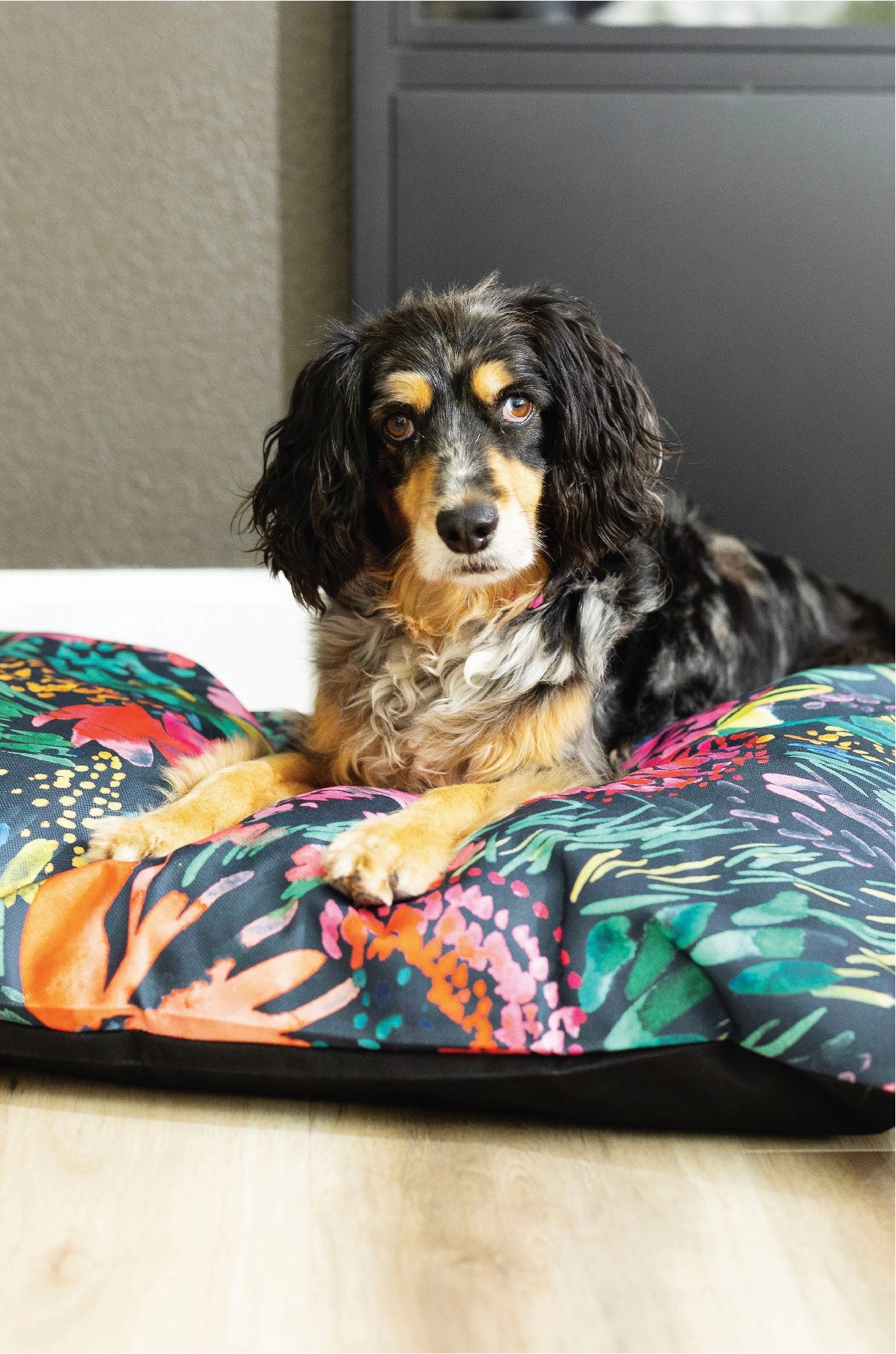 Bella Dog Bed