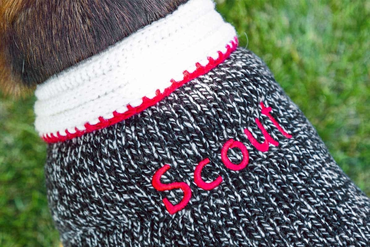 Black Wool Dog Sweater, Personalized