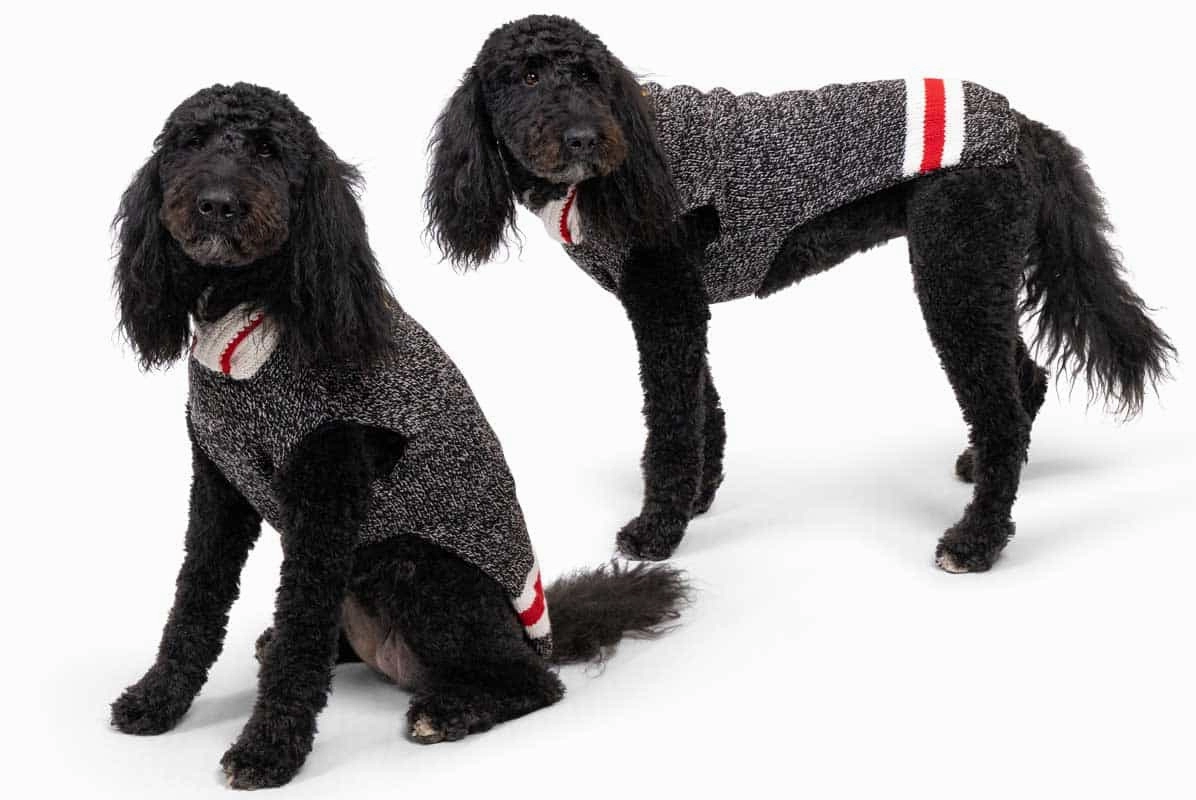 Black Wool Dog Sweater, Personalized