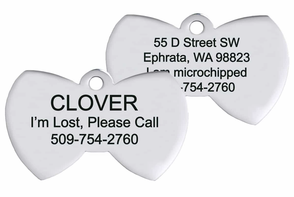 Bow Tie Pet ID Tag in Stainless Steel
