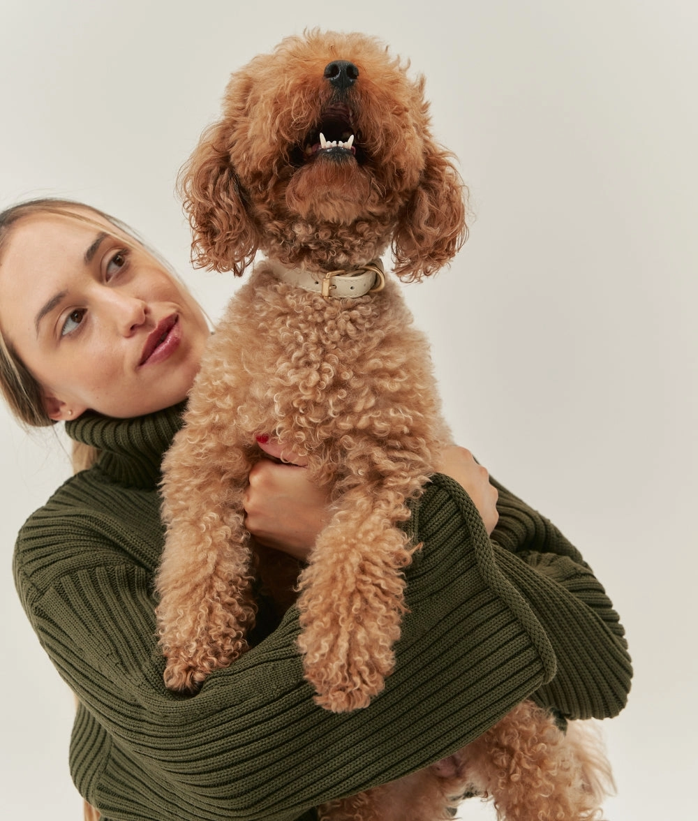 Collar Cuero Vegano Beige, Jala