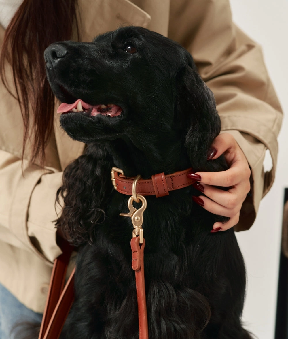Collar Cuero Vegano Marr??n, Jala