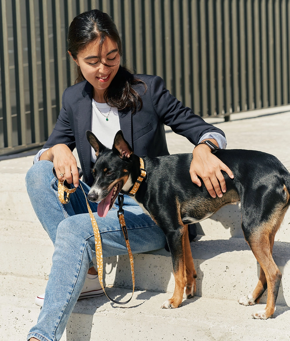 Collar PET Reciclado Dise?o Memphis Mostaza, Juno