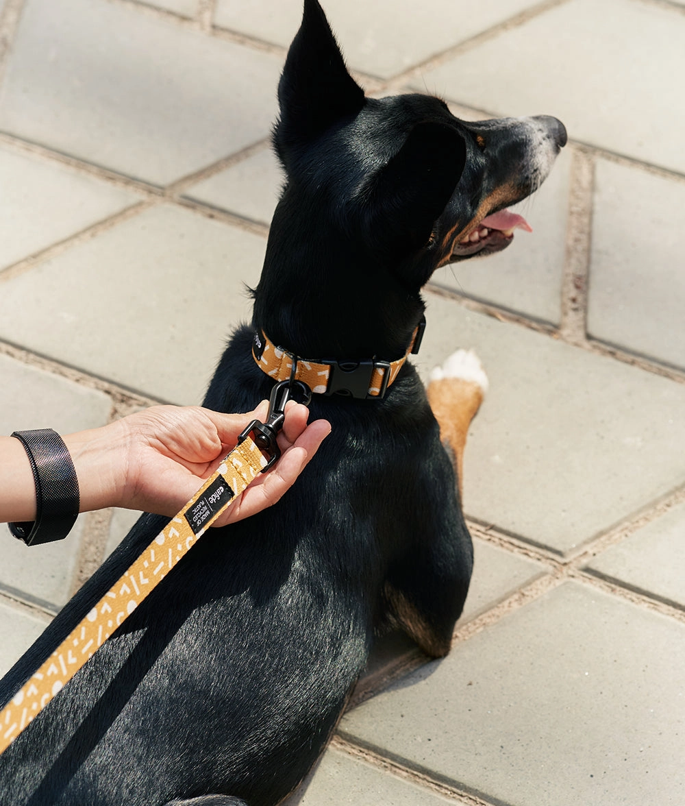 Collar PET Reciclado Dise?o Memphis Mostaza, Juno