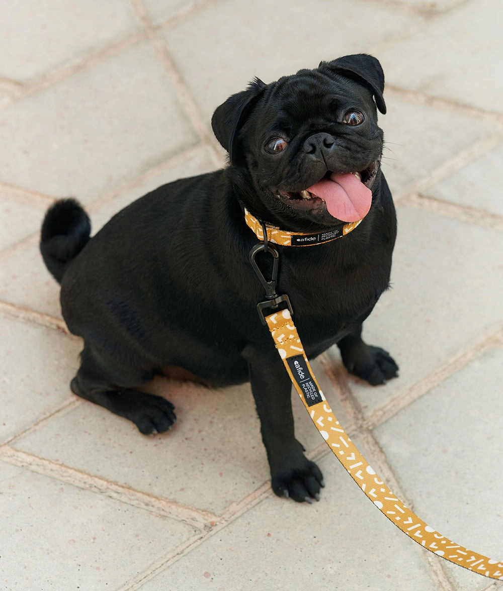 Collar PET Reciclado Dise?o Memphis Mostaza, Juno