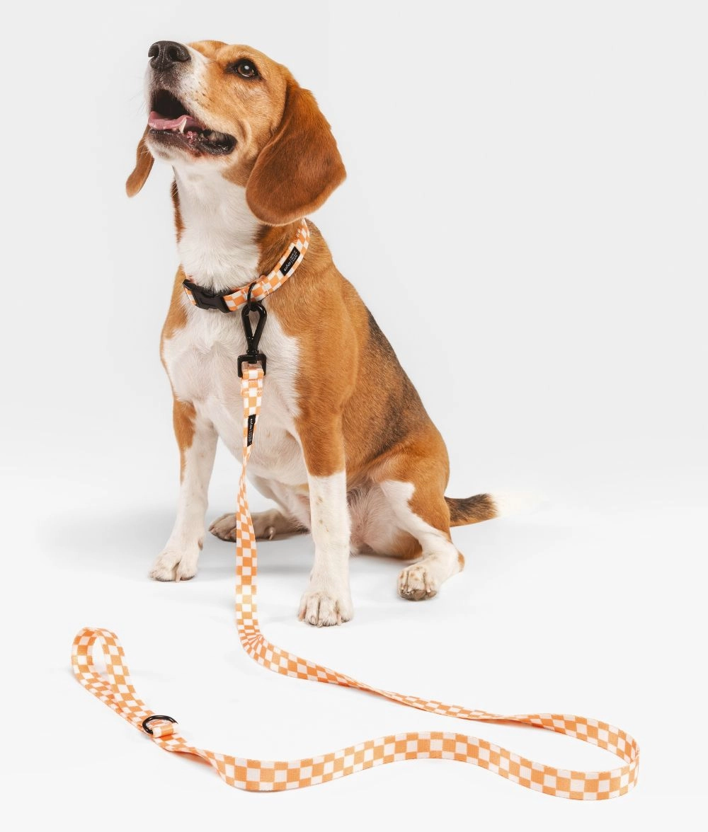 Collar PET Reciclado Dise?o Naranja Melocot??n, Juno