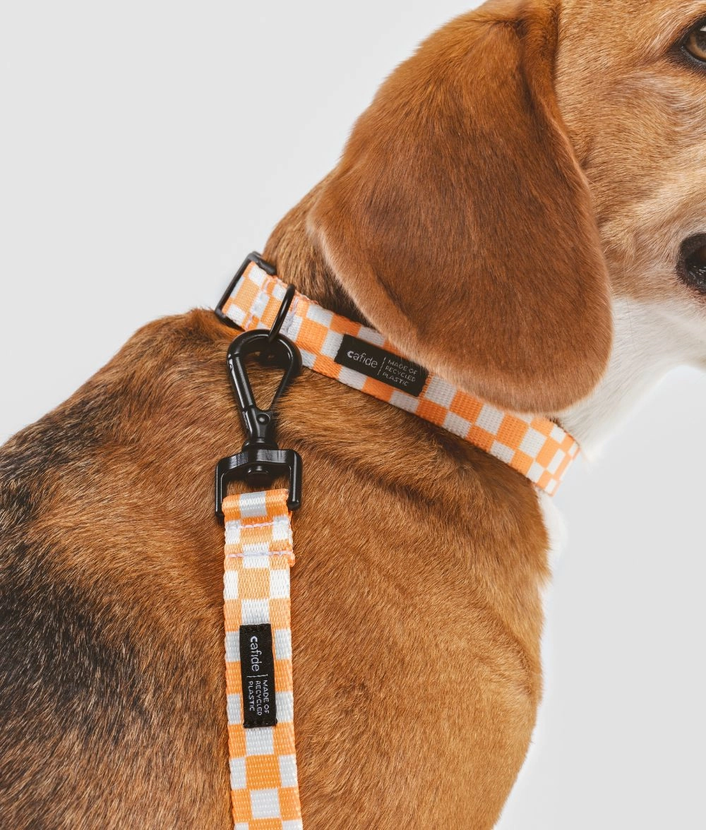 Collar PET Reciclado Dise?o Naranja Melocot??n, Juno