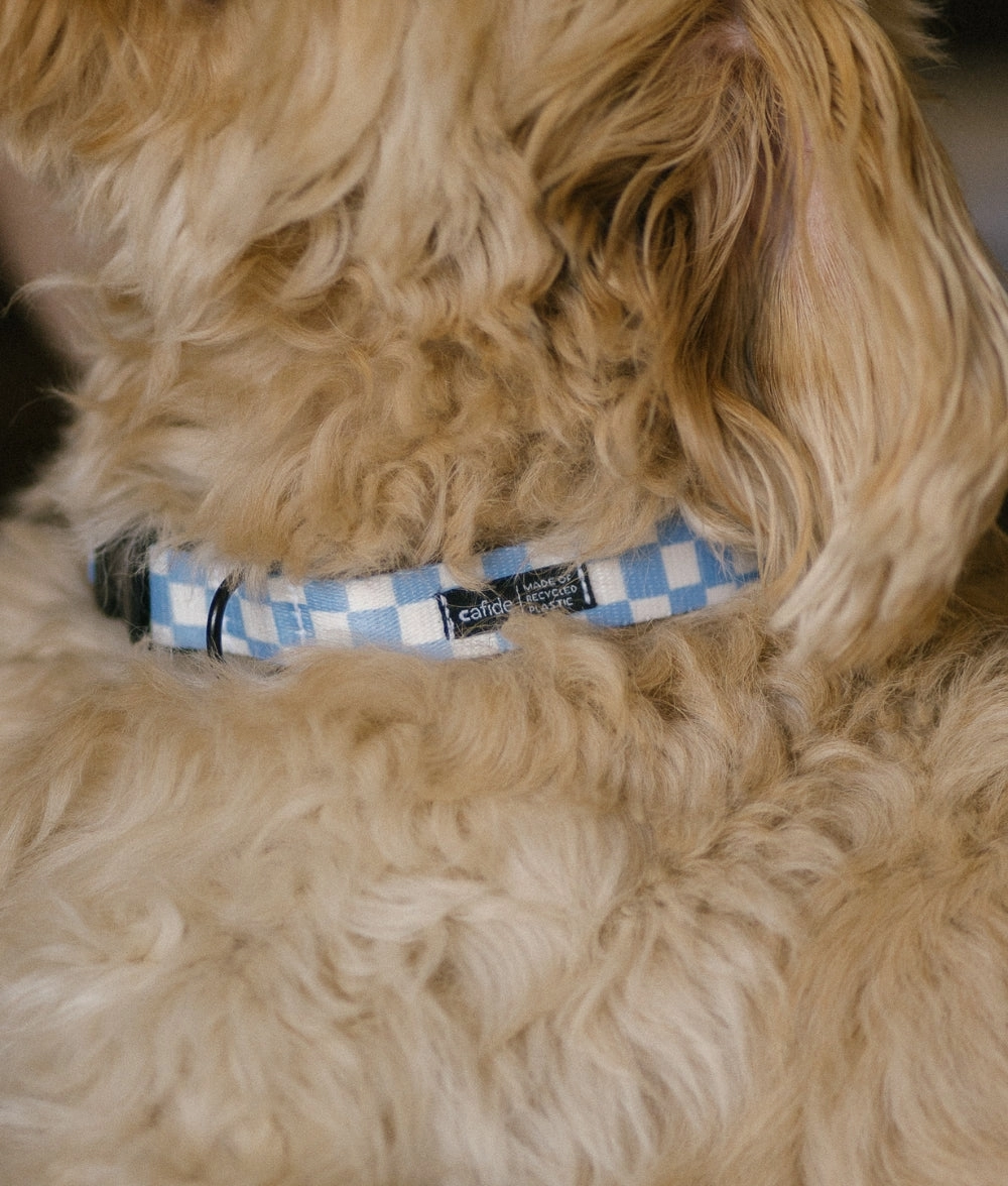 Collar PET Reciclado Dise?o Vichy Azul, Juno
