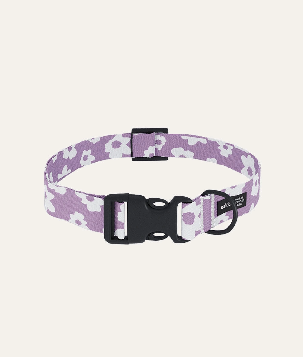 Collar PET Reciclado Dise?o Violeta, Juno