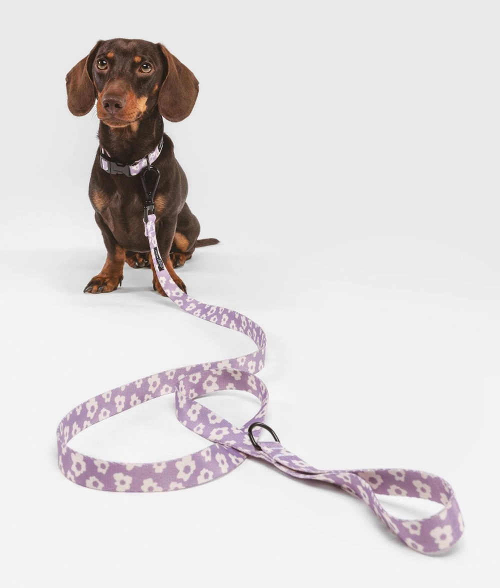 Collar PET Reciclado Dise?o Violeta, Juno