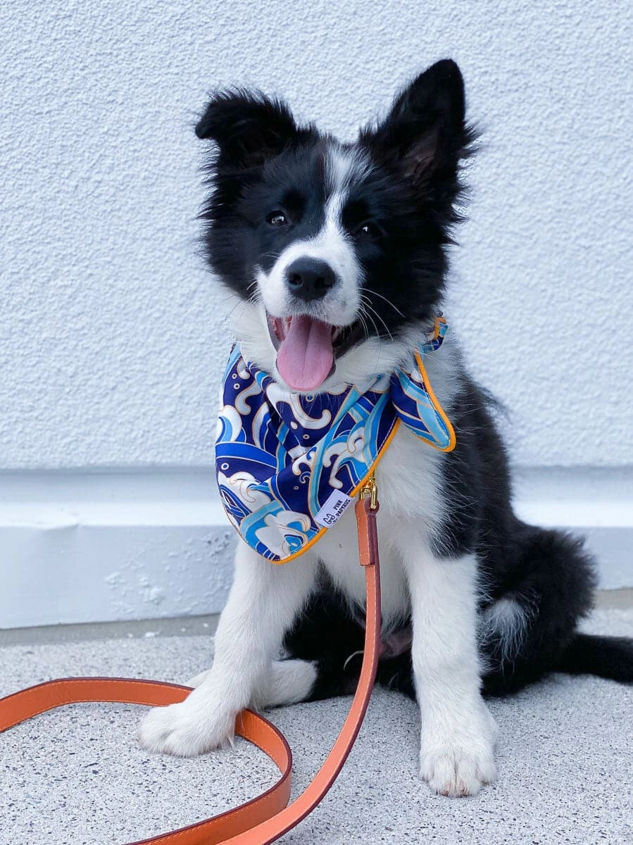 Destin Dog Bandana