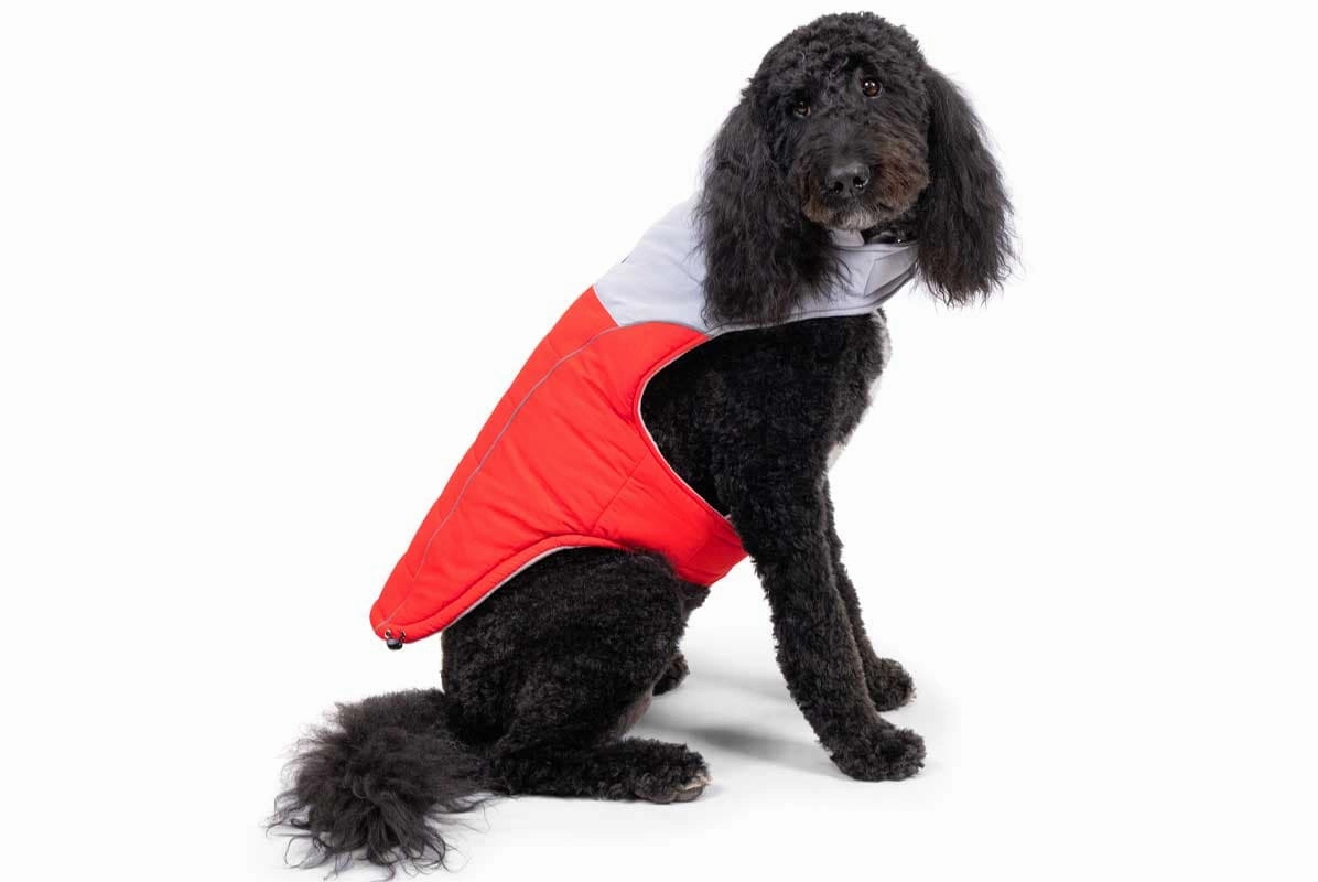 Dog Puffer Jacket, Personalized Insulated Dog Vest