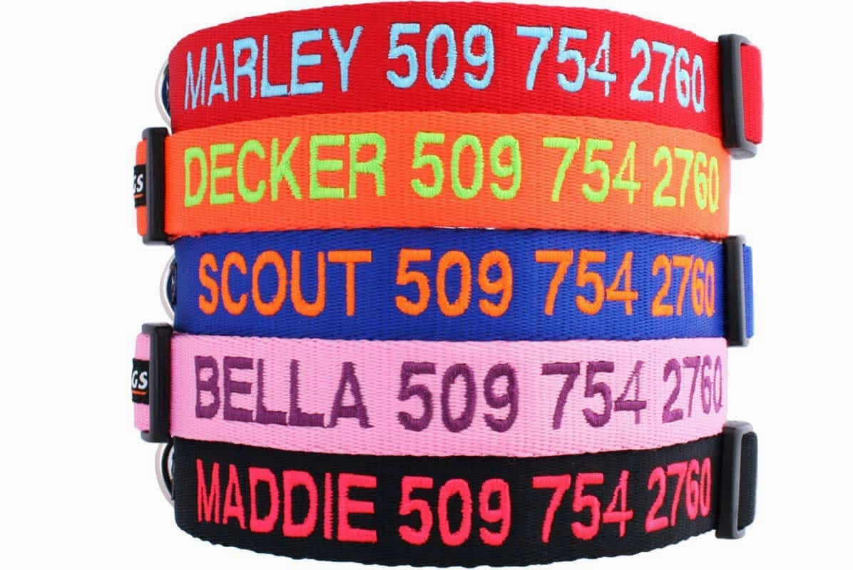 Embroidered Personalized Dog Collar with Quick Release Buckle