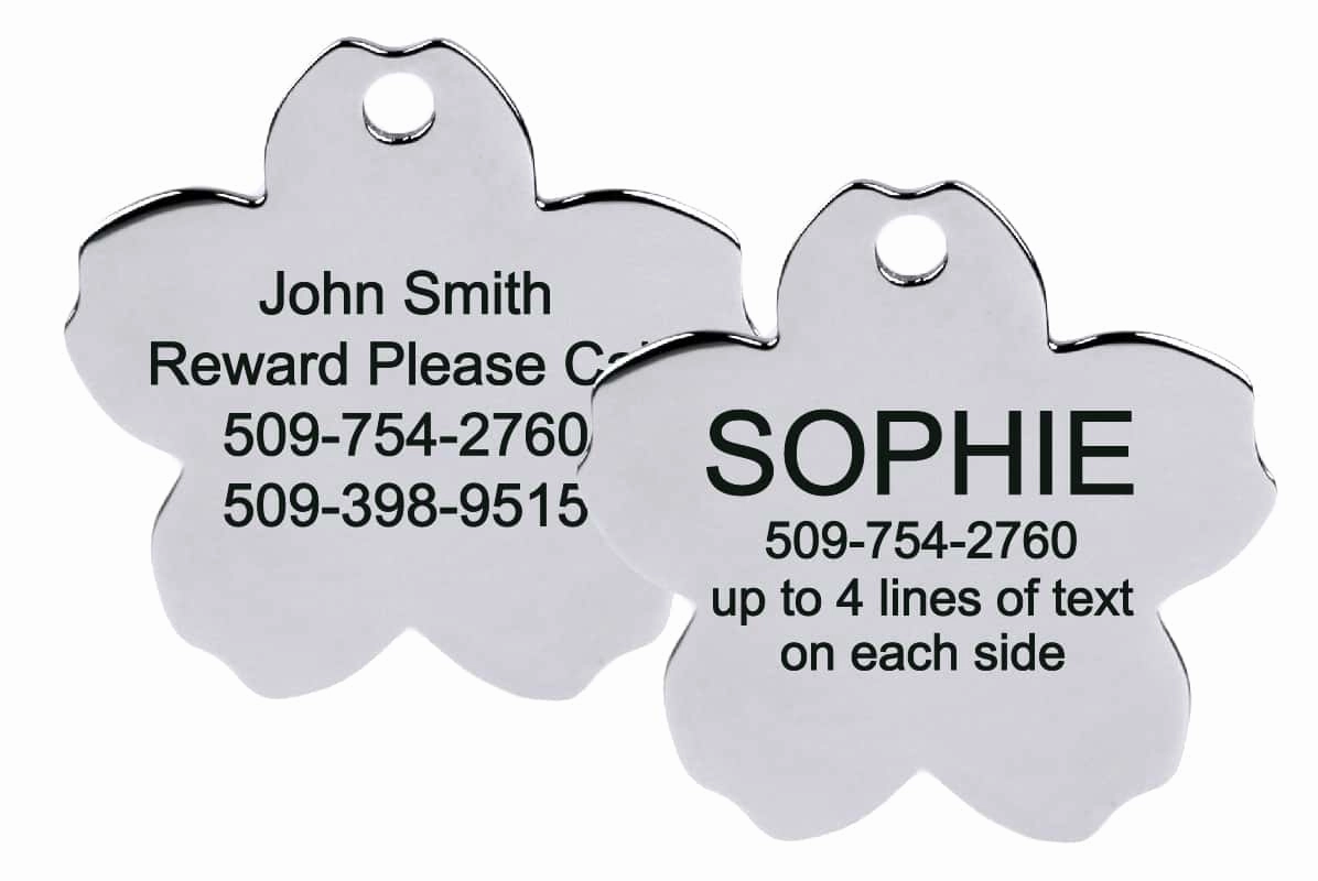 Flower Pet ID Tag in Stainless Steel