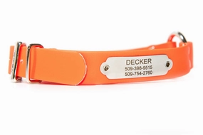 Hunting Dog Collar with Personalized Nameplate