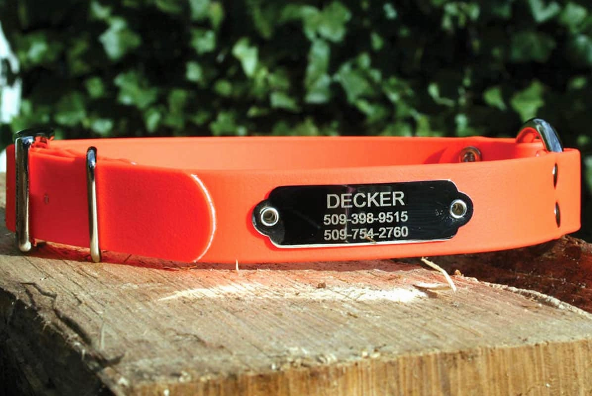 Hunting Dog Collar with Personalized Nameplate