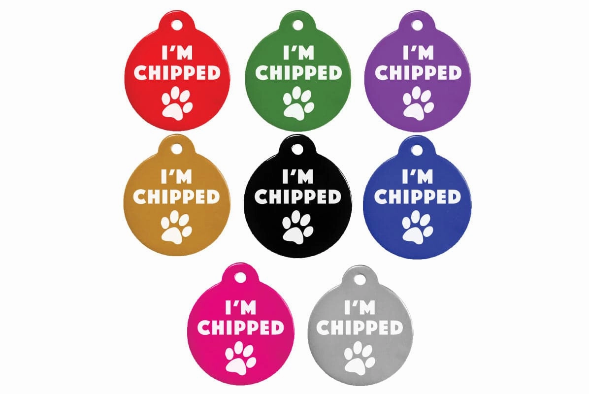 I'm Chipped Pet ID Tag with Silencer