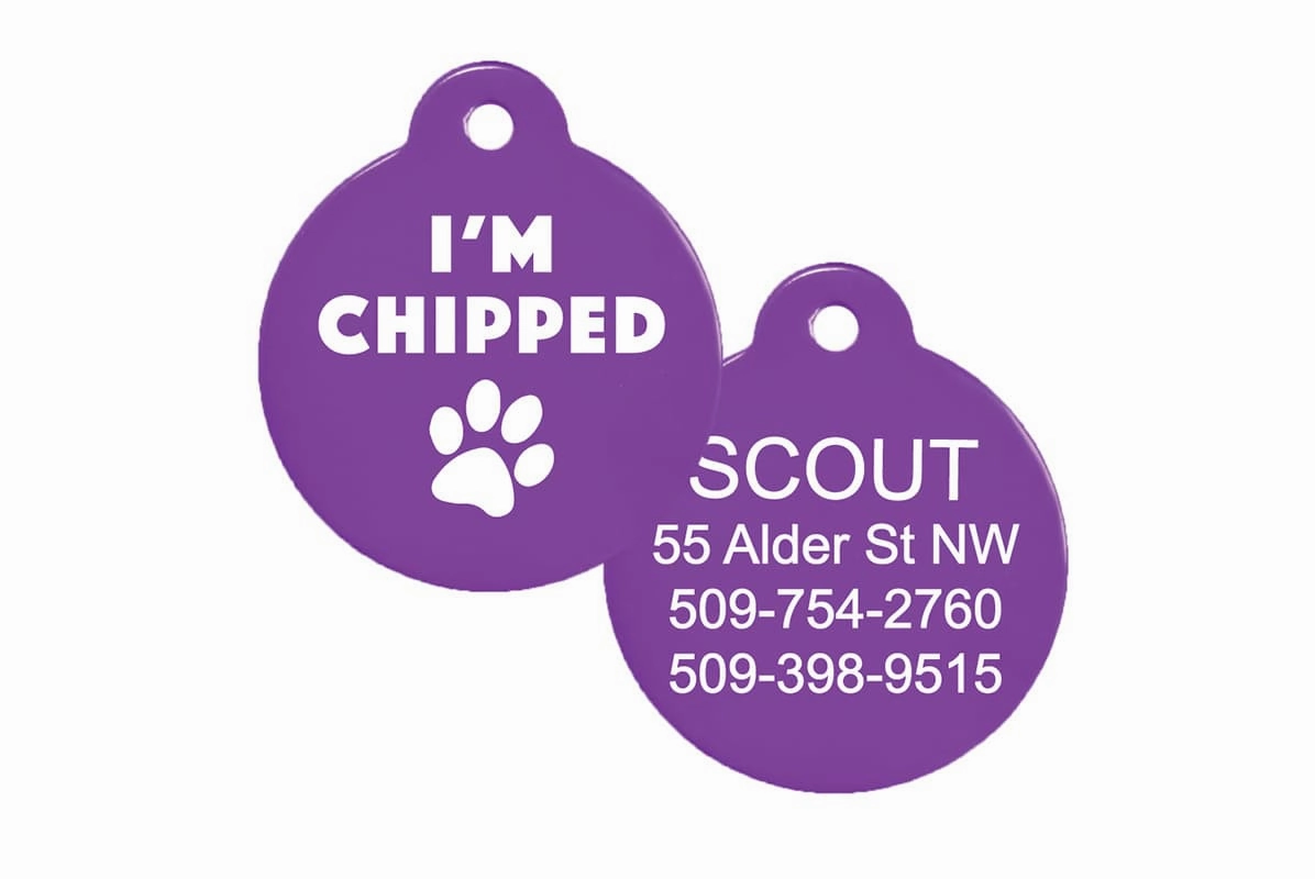 I'm Chipped Pet ID Tag with Silencer