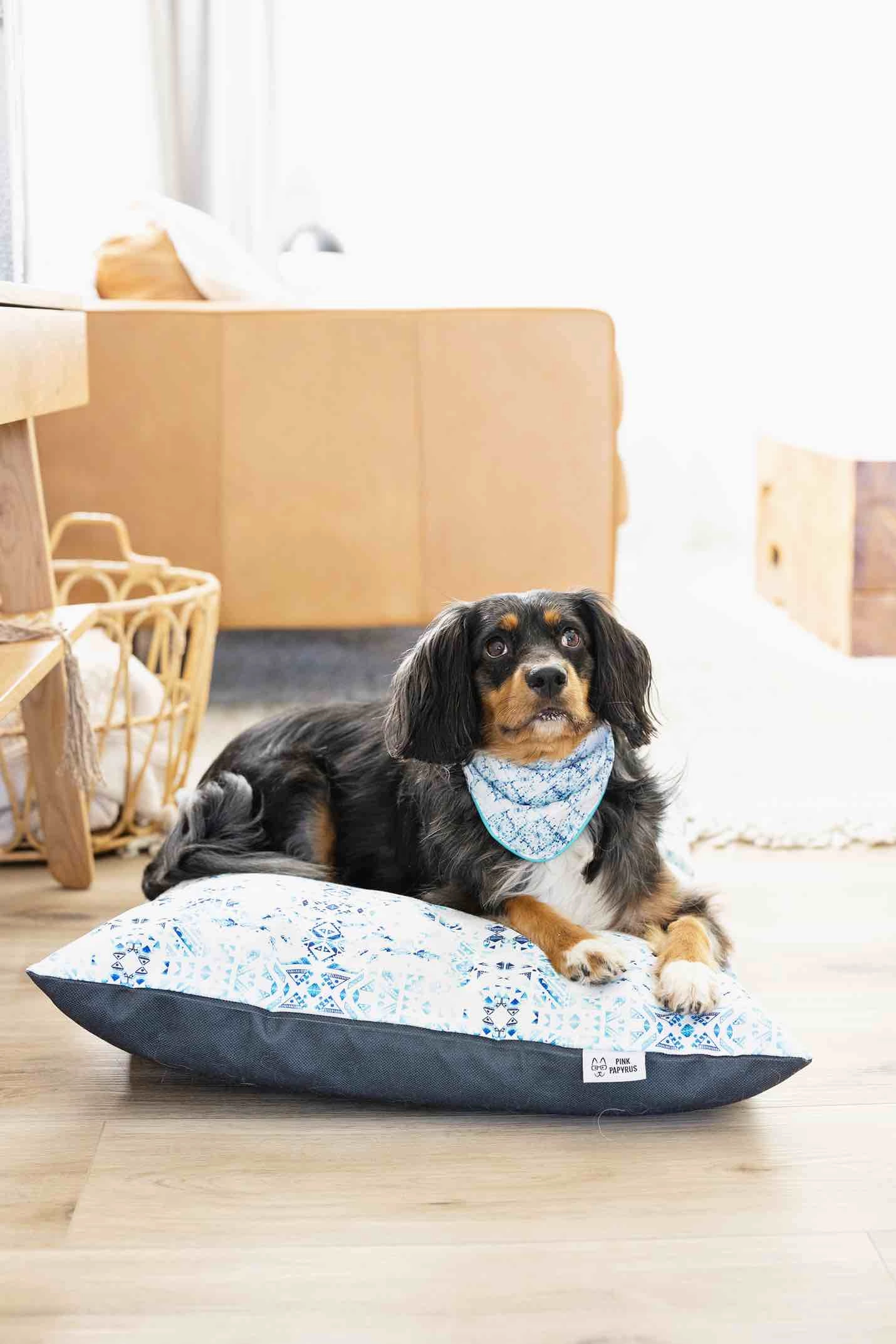 Koa Dog Bandana