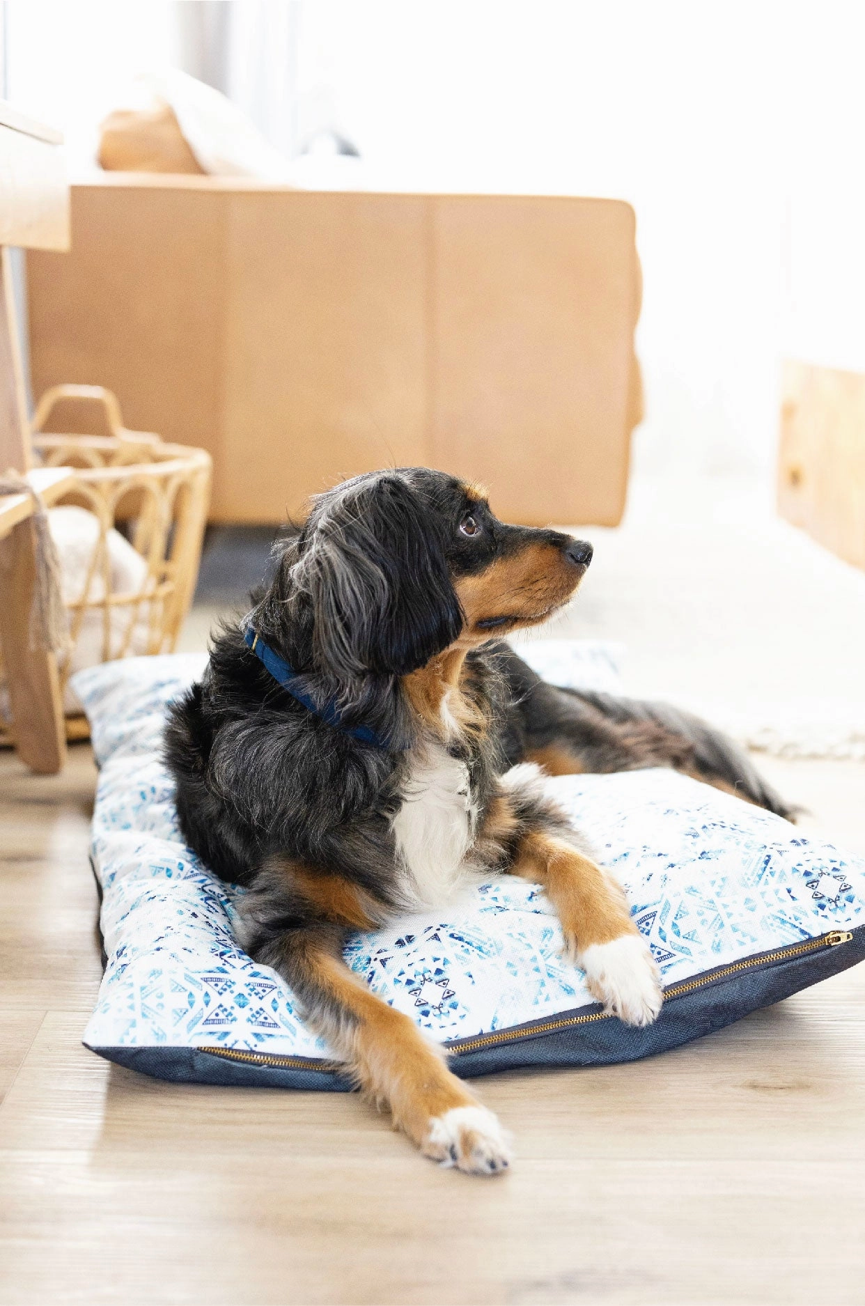 Koa Dog Bed