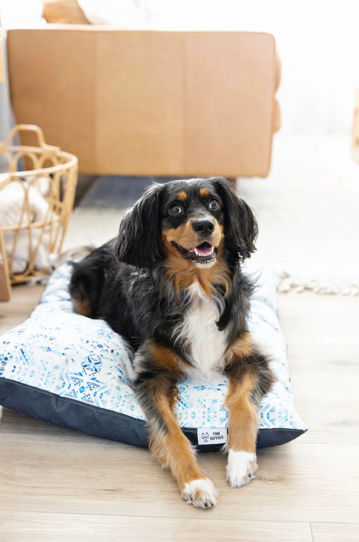 Koa Dog Bed
