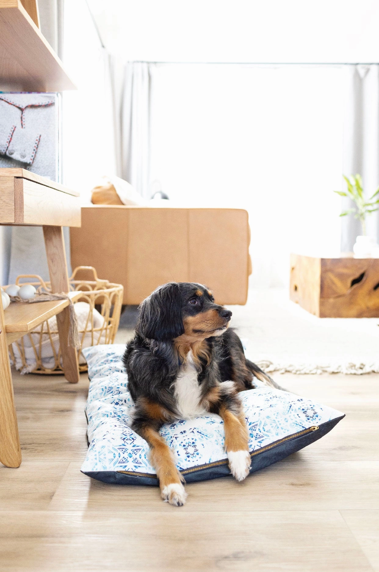 Koa Dog Bed