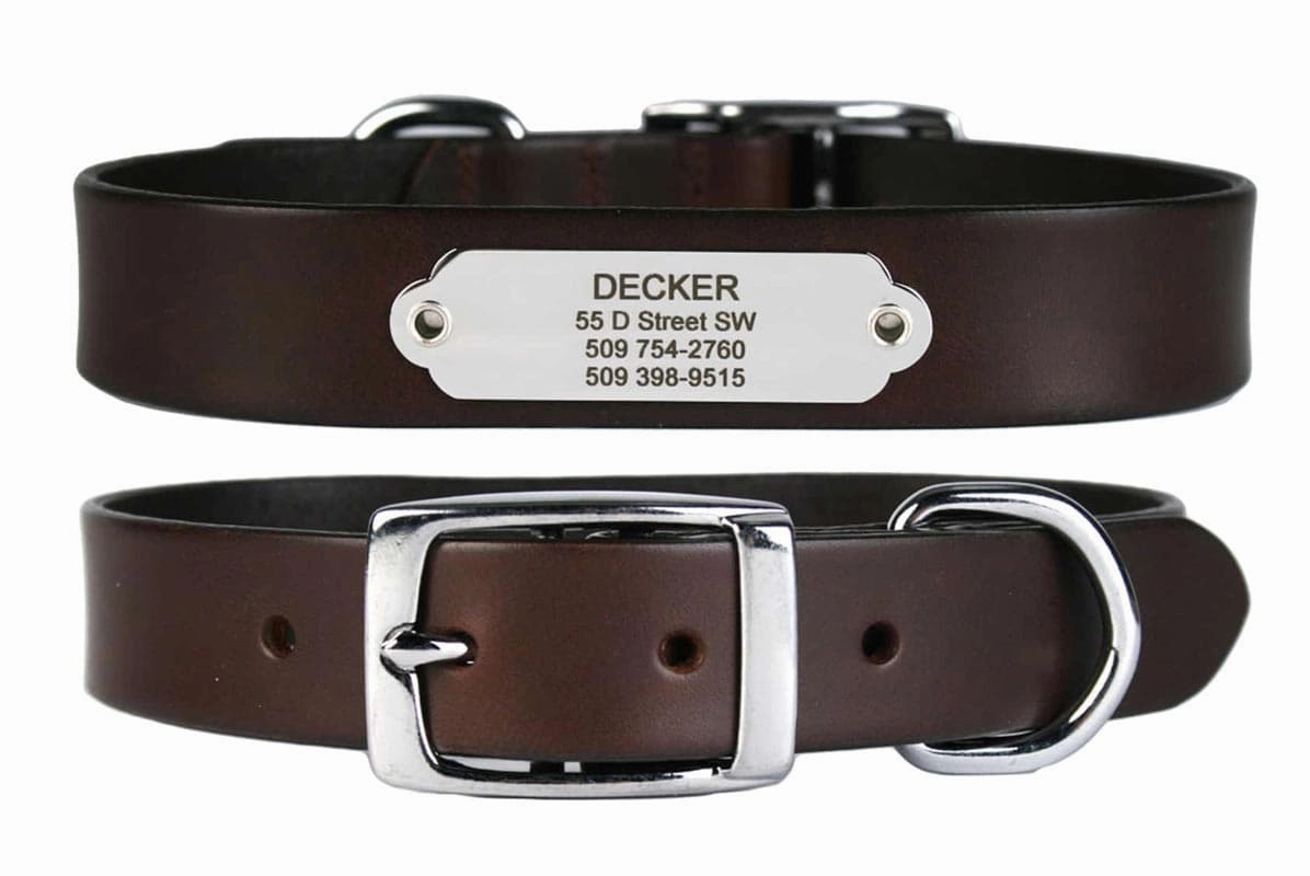 Leather Dog Collar with Stainless Steel Rivet-On Nameplate