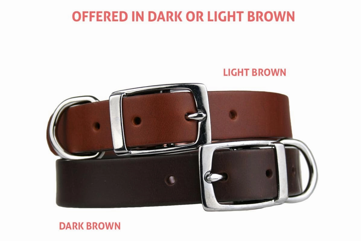 Leather Dog Collar with Stainless Steel Rivet-On Nameplate