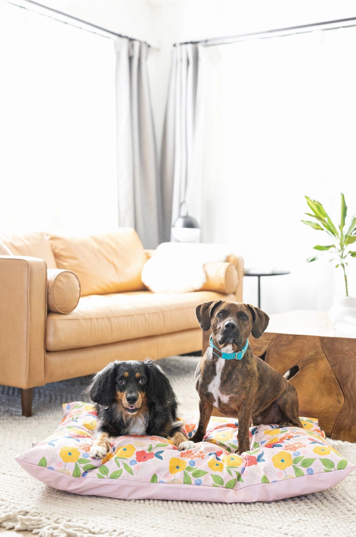 Penelope Dog Bed