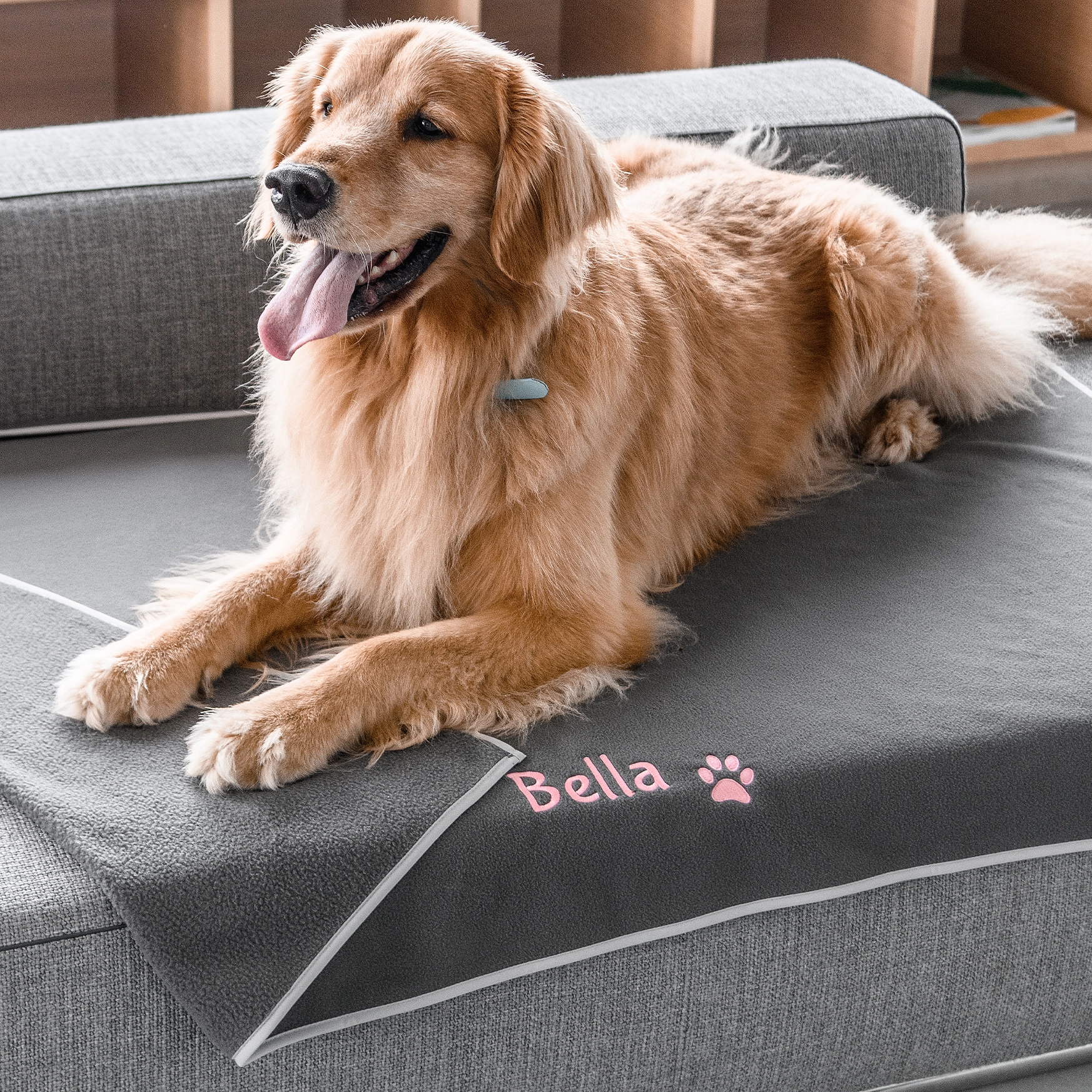 Personalized Dog Blankets, Fleece