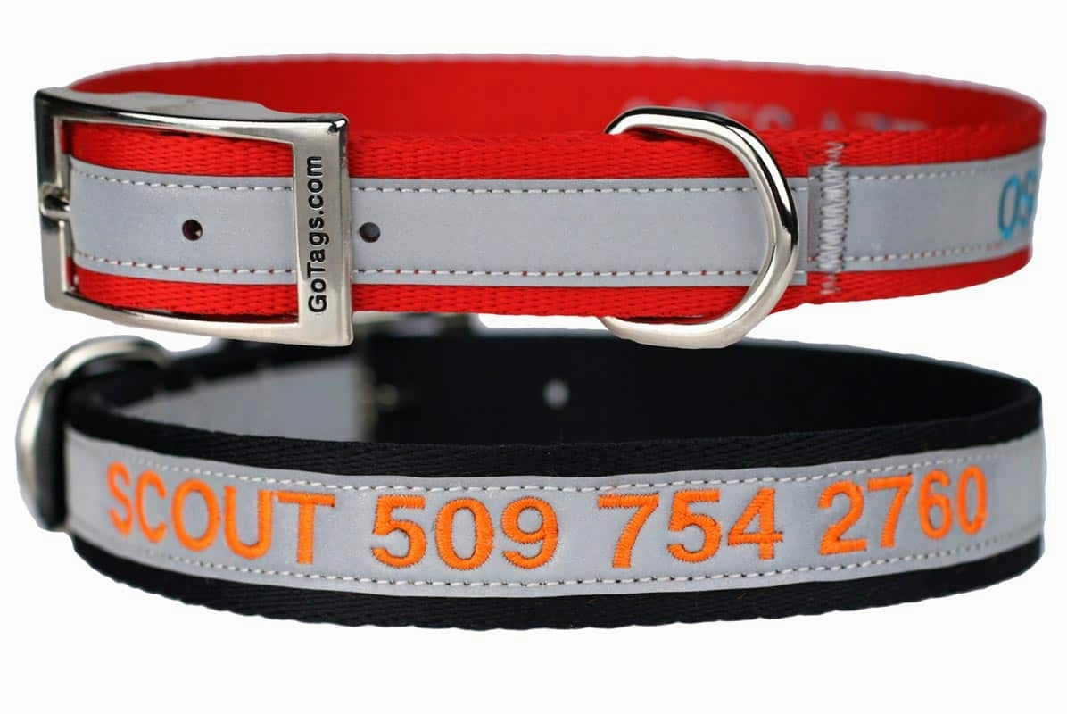 Personalized Embroidered Reflective Dog Collar with Metal Buckle
