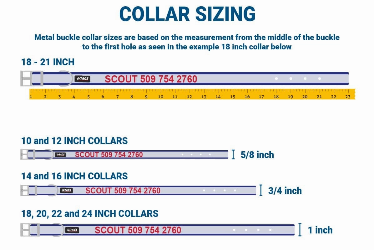 Personalized Embroidered Reflective Dog Collar with Metal Buckle
