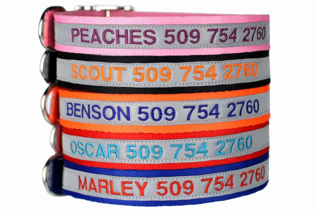 Personalized Embroidered Reflective Dog Collar with Metal Buckle