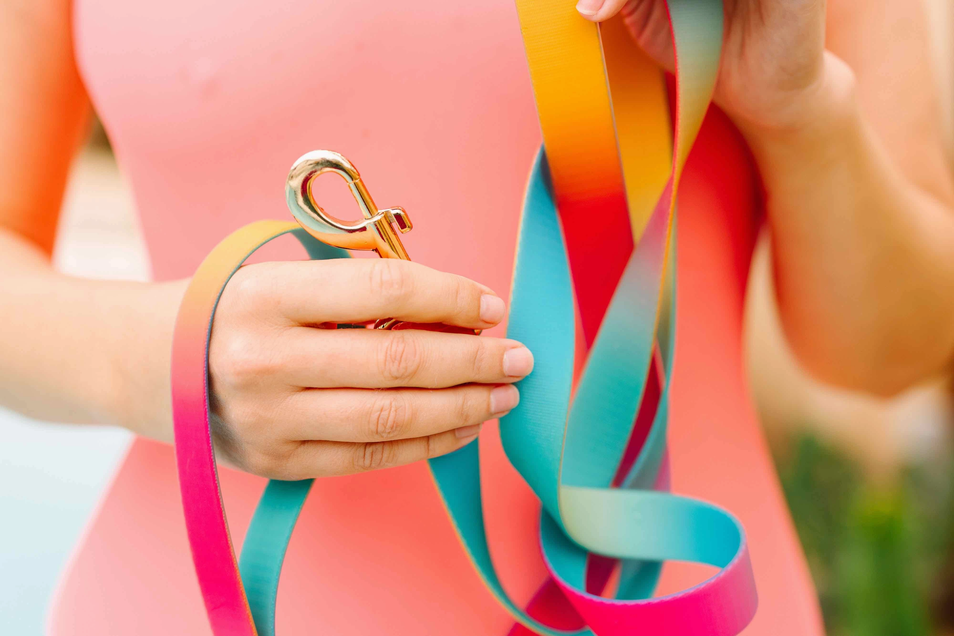 Prism Dreams Dog Collar Bundle