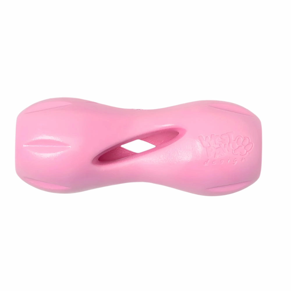 Qwizl Dog Treat Toy