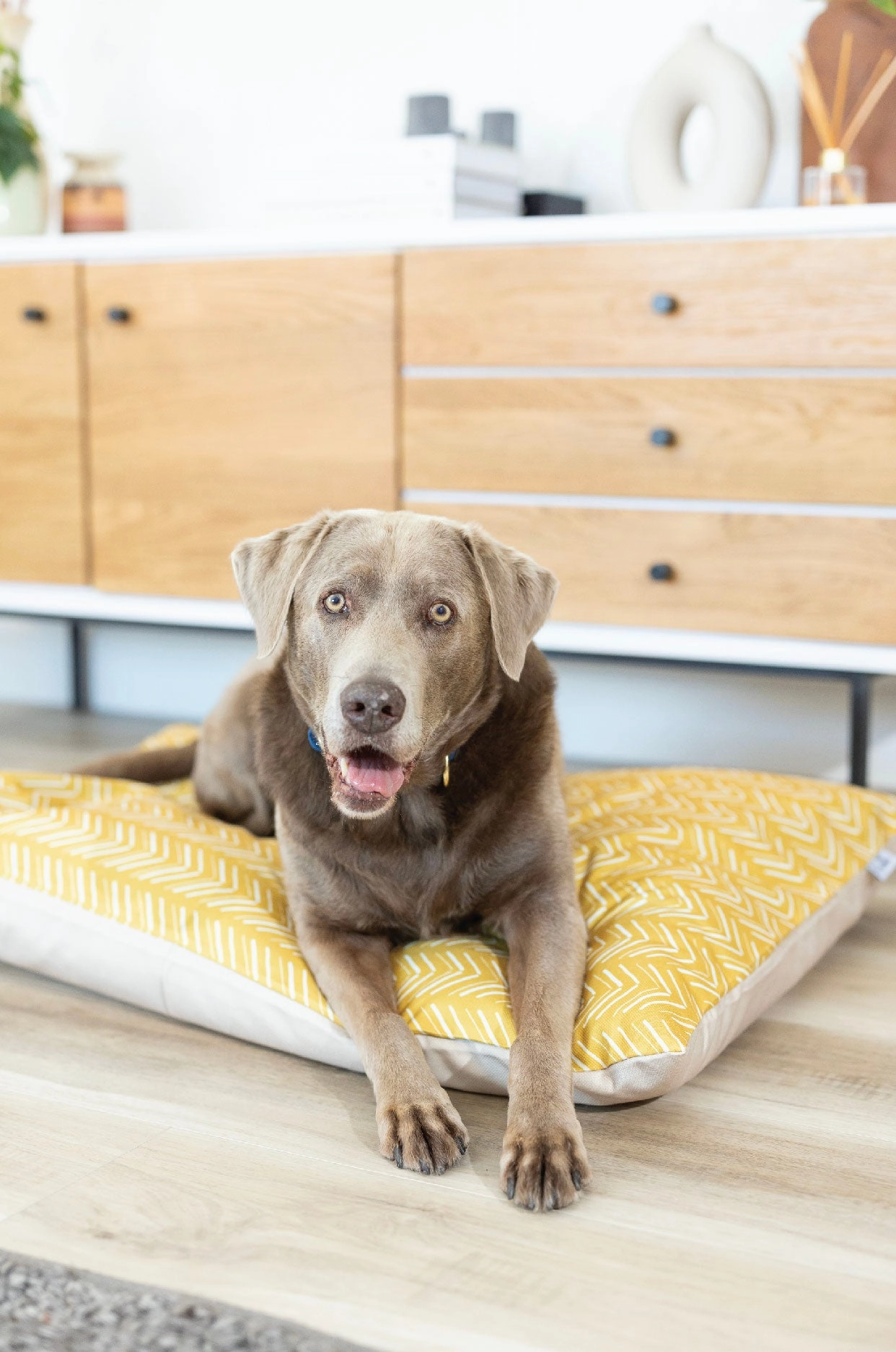 Rafa Dog Bed