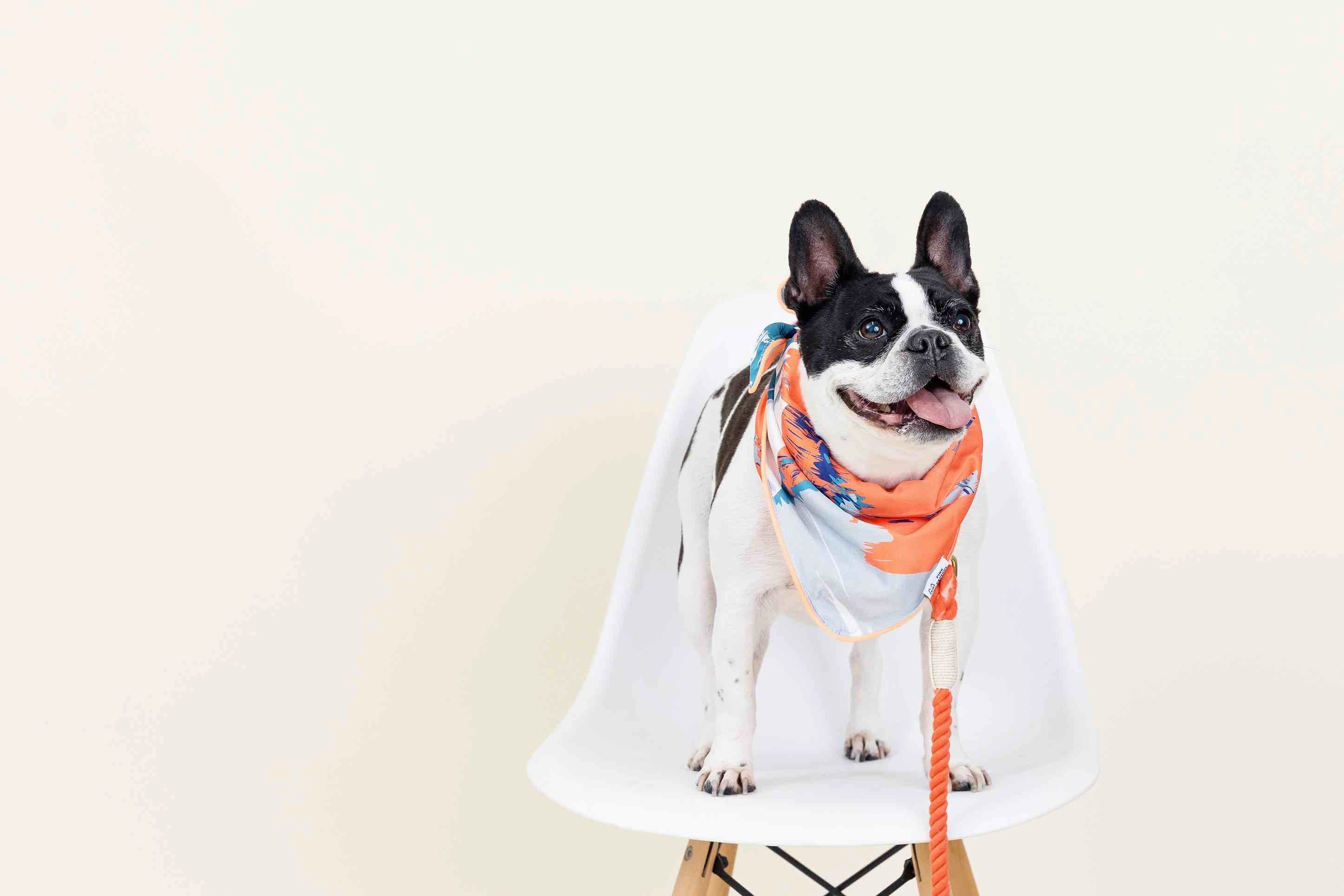 Reese Dog Bandana
