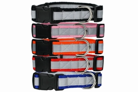Reflective Dog Collar with Quick Release Buckle