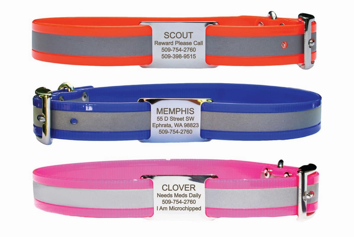 Reflective Waterproof Dog Collar with Personalized Slide-On Nameplate