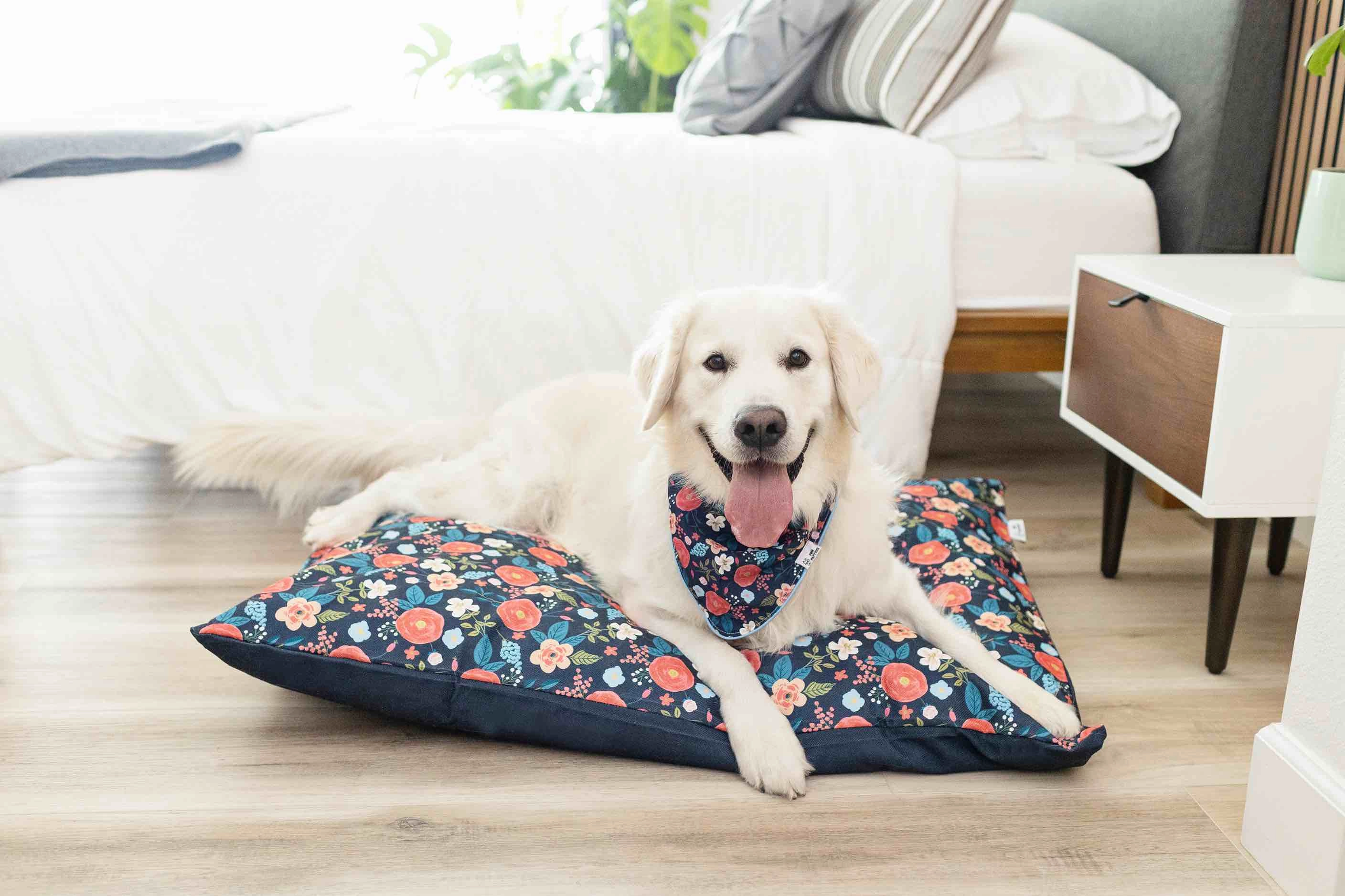 Riley Dog Bandana