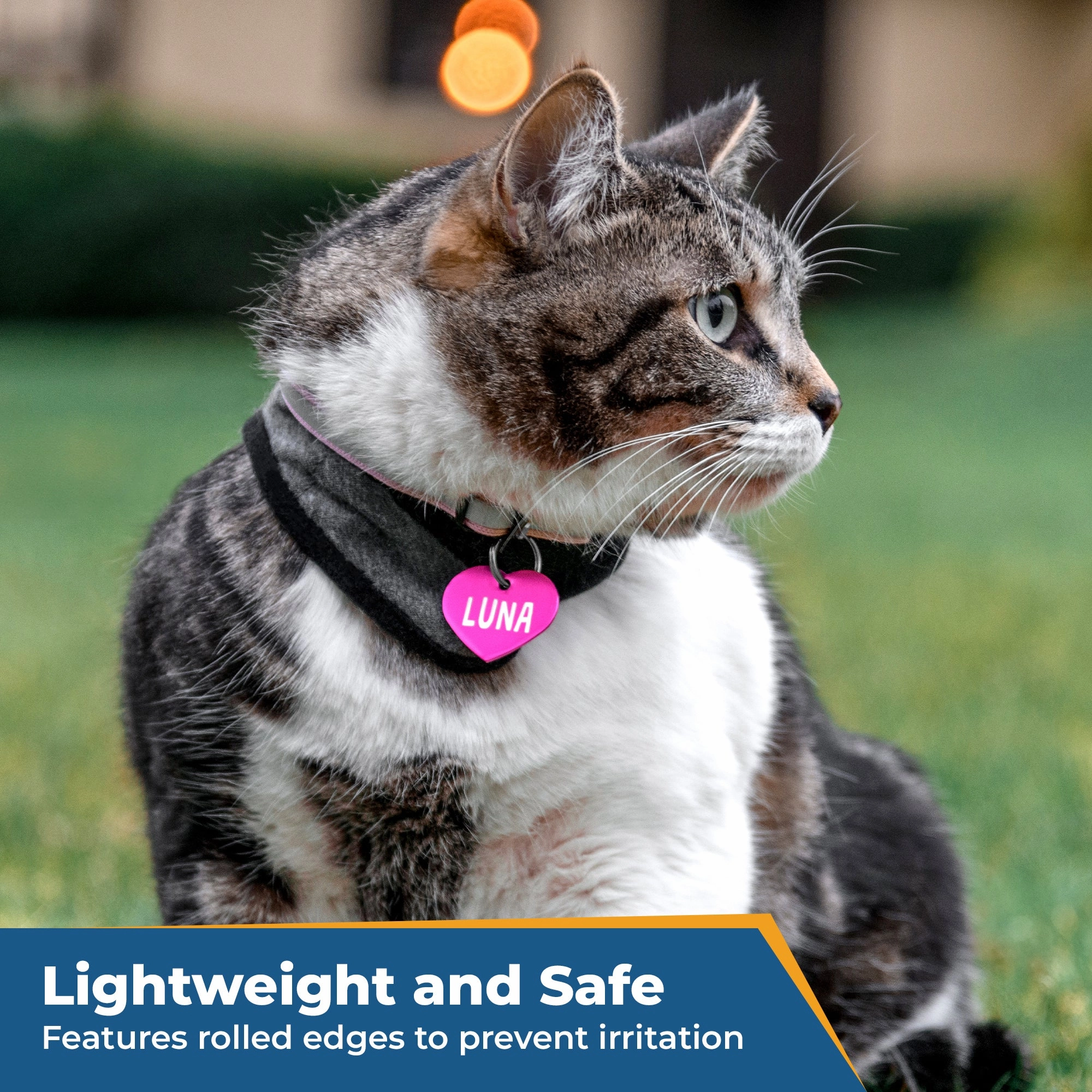 Round Pet ID Tags