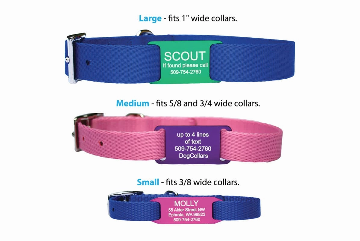 Slide-On Dog Tags