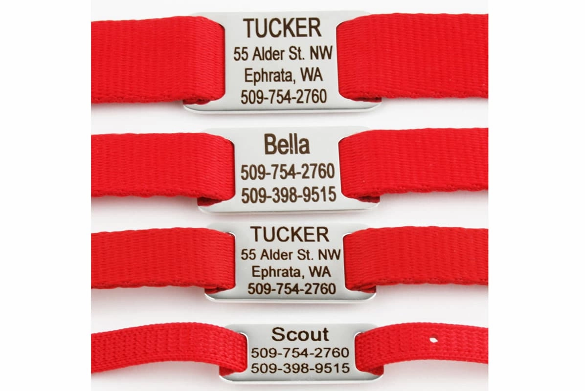 Slide-On Dog Tags, Stainless Steel